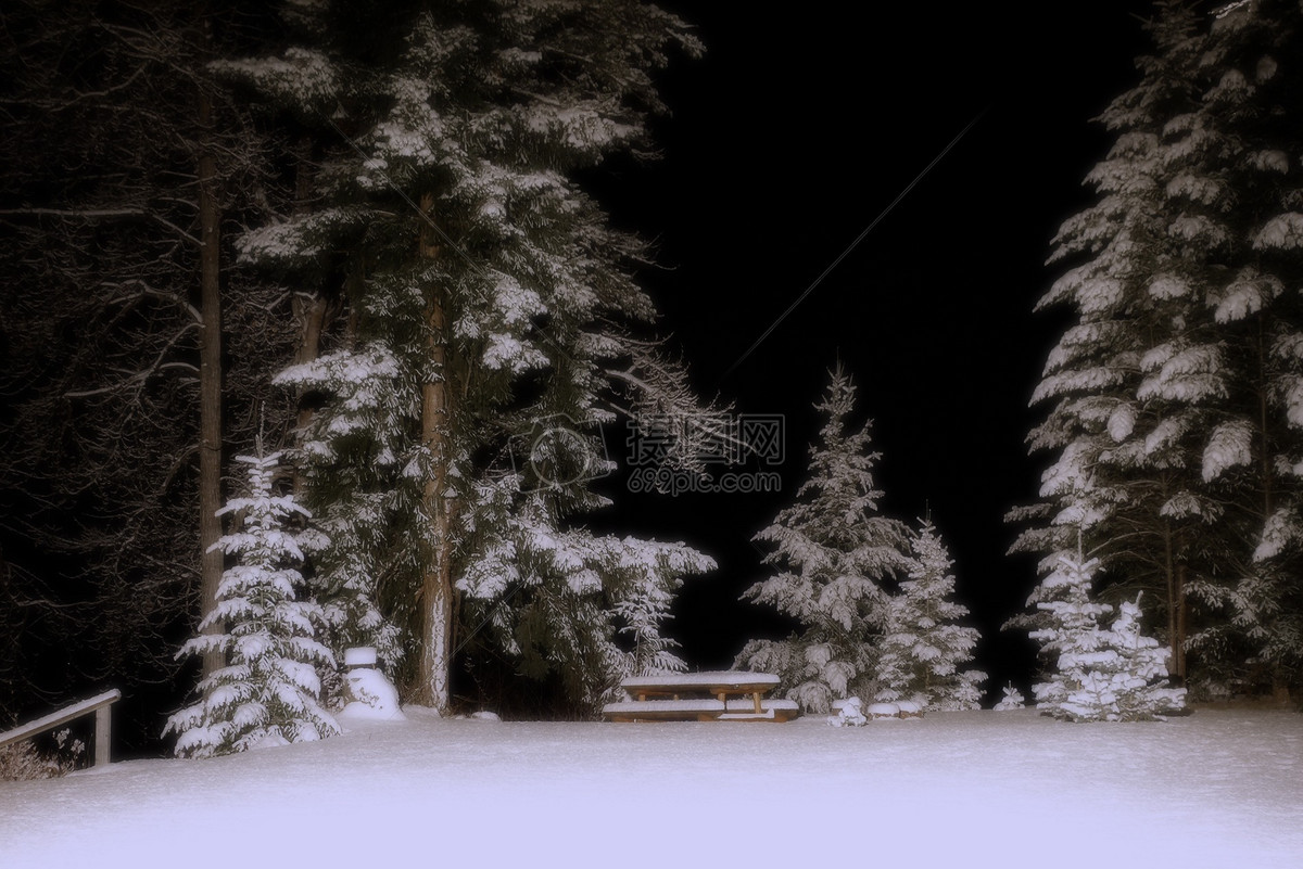黑夜里的雪景