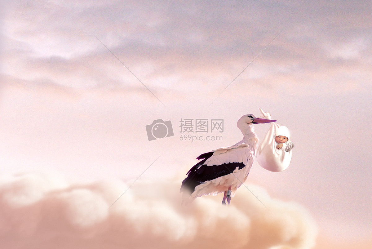 云端仙鹤送子
