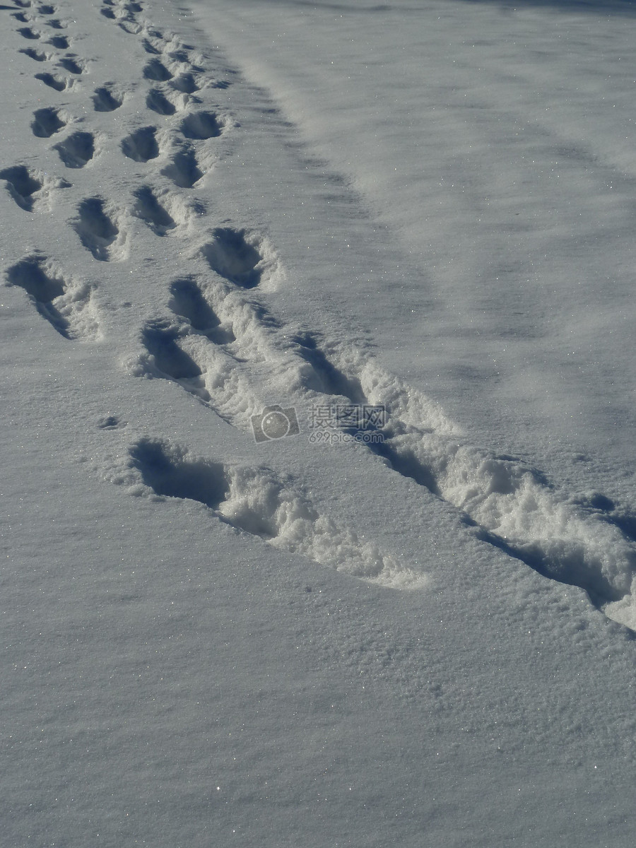 大雪中的脚印