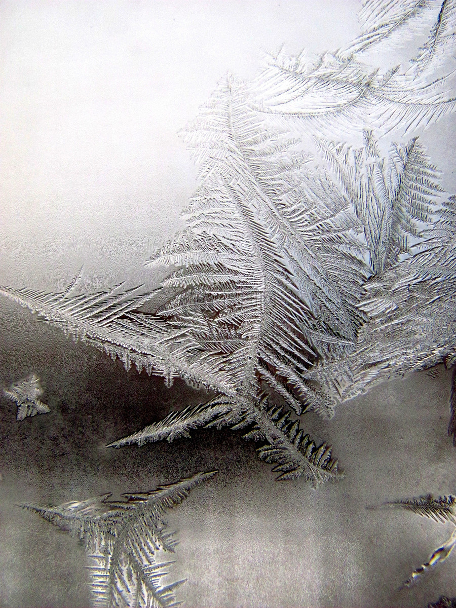 窗子上凝结的雪花