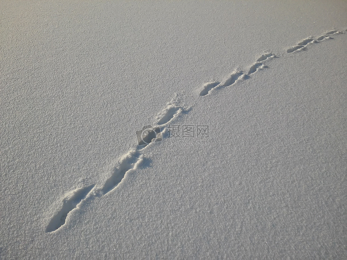 雪地里的脚印