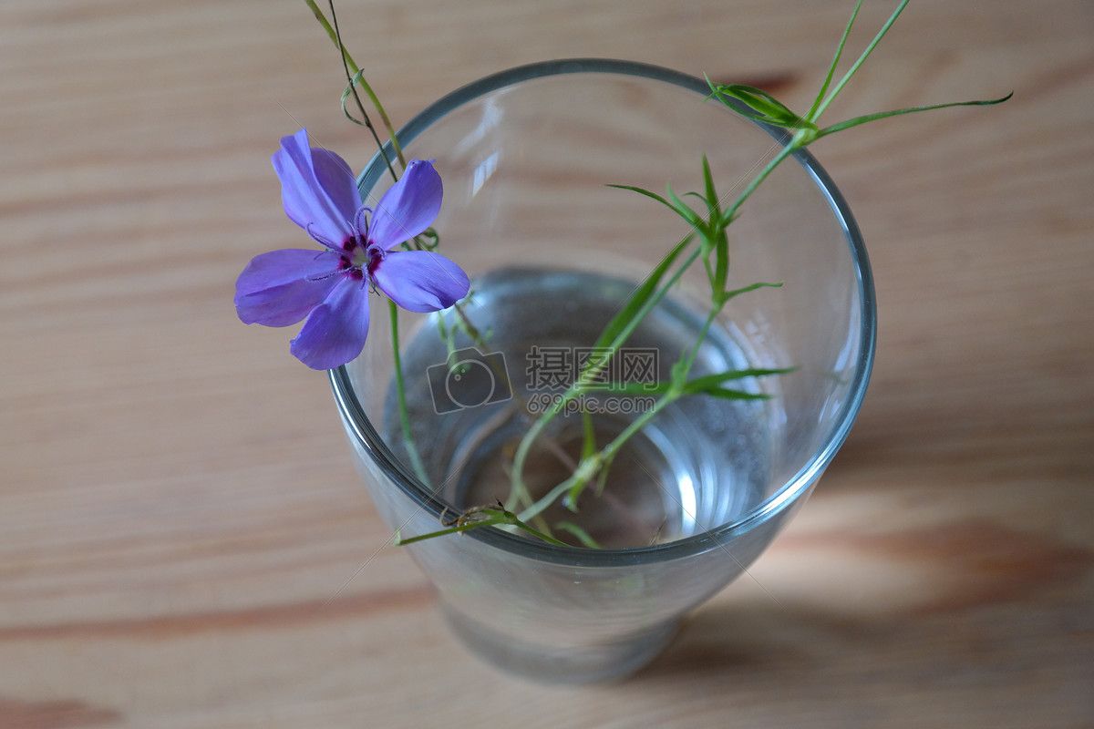 水杯里的蓝色花朵