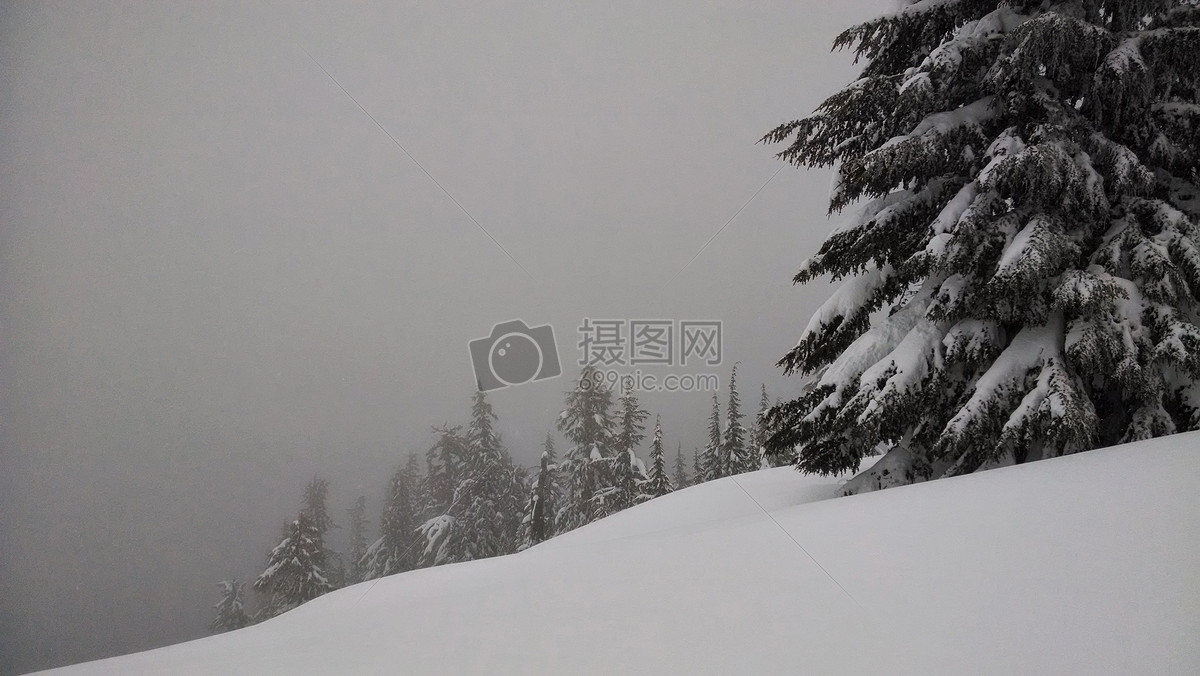 雪 分享: qq好友 微信朋友圈 qq空间 新浪微博  花瓣 举报 标签: 冬天
