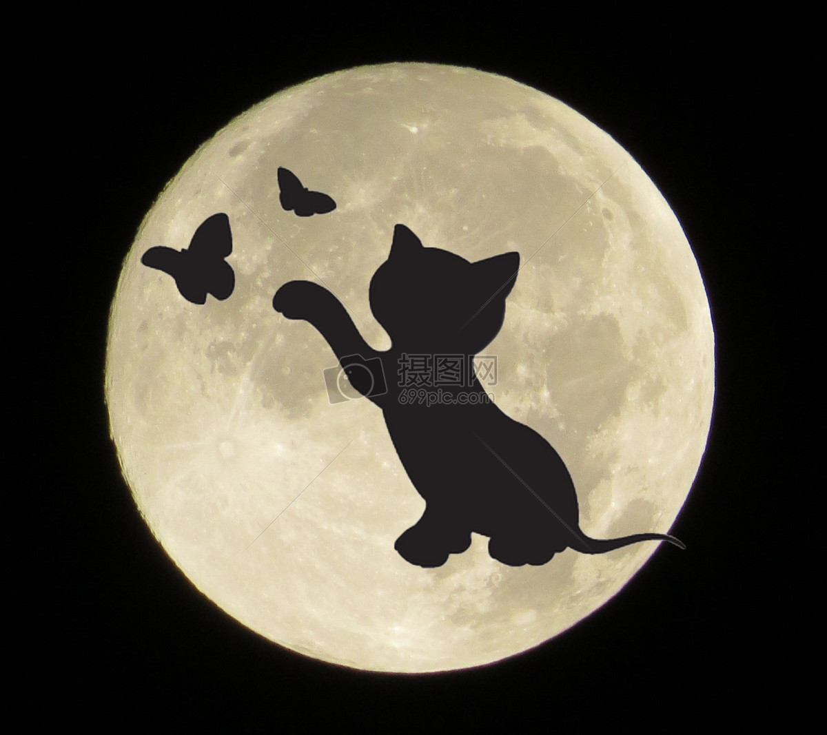 月亮上的猫侧影