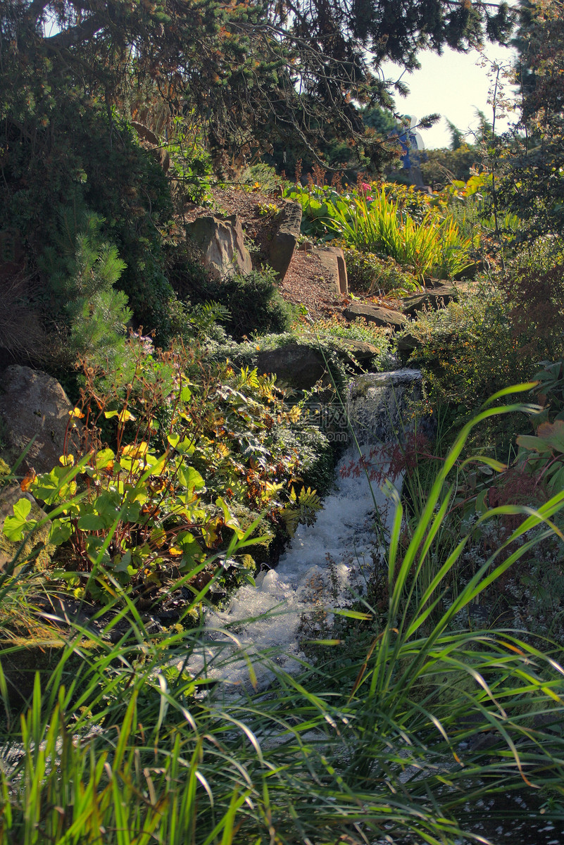 图片 照片 自然风景 山间树林中的溪流.jpg