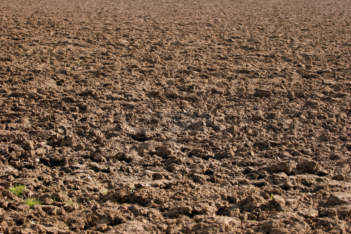 ploughed_field.jpg