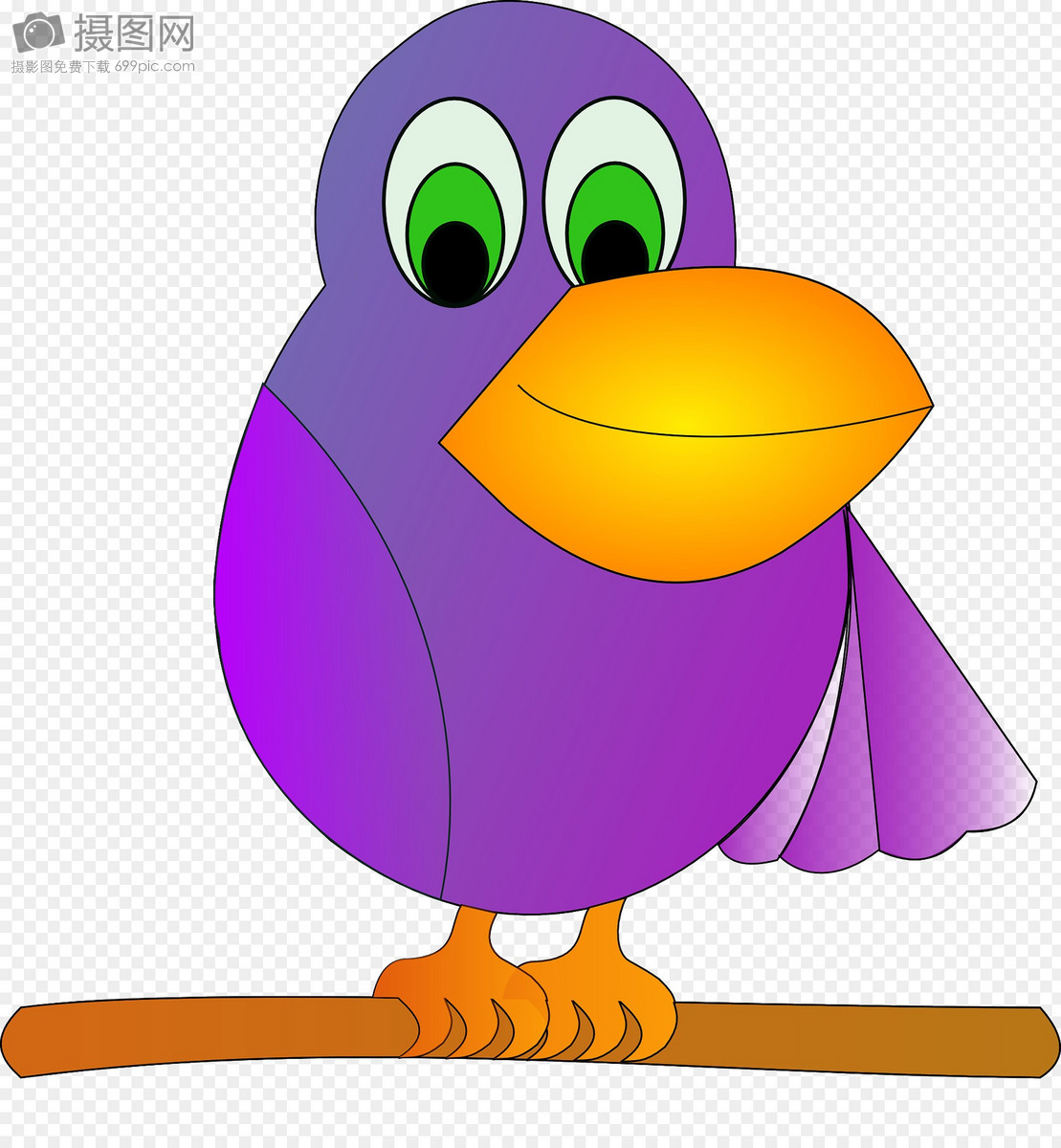 紫色的鹦鹉