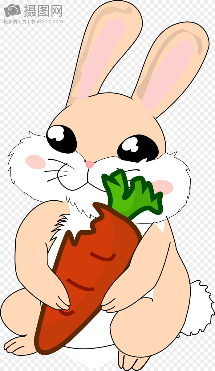 爱吃胡萝卜的小白兔