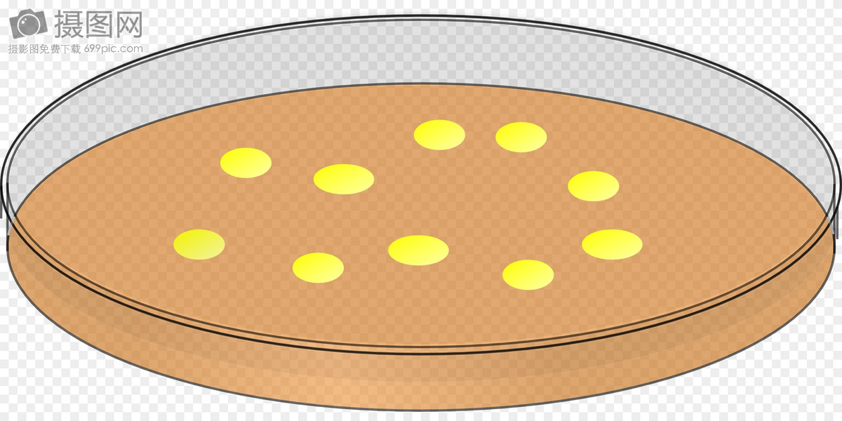 培养皿图片