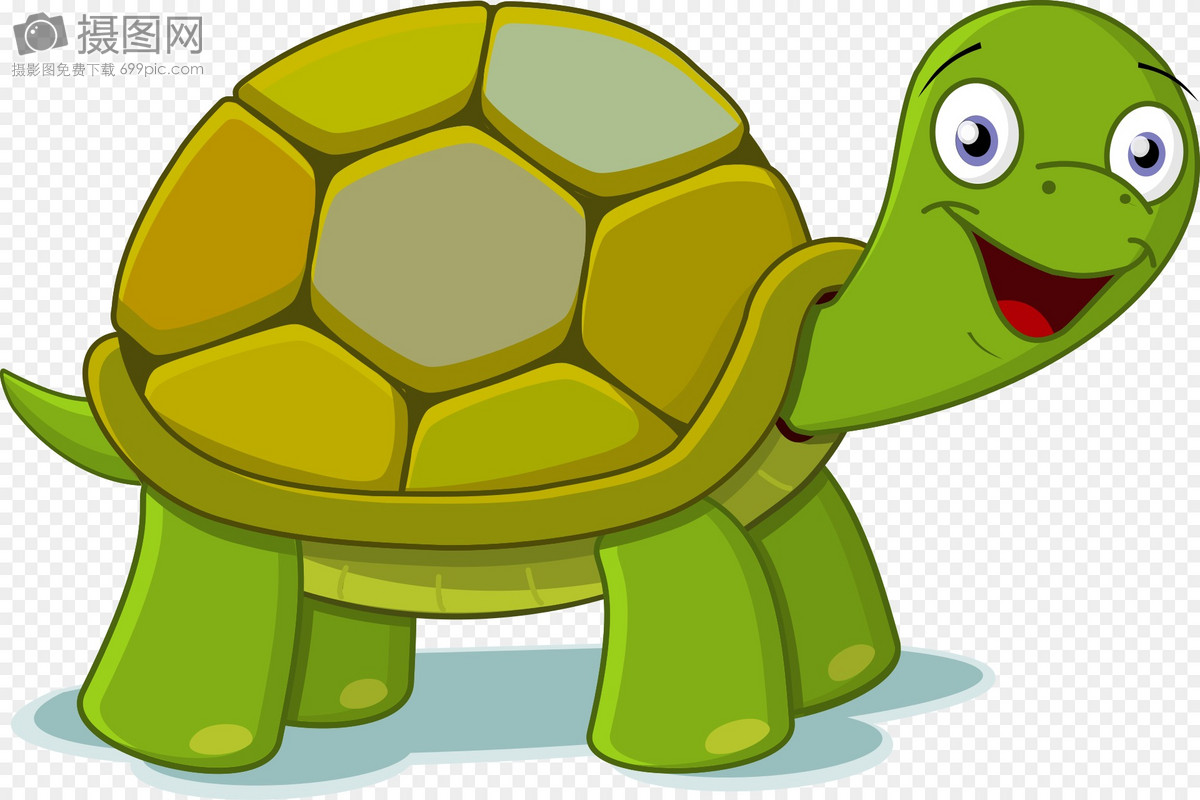 绿色的乌龟图片素材_免费下载_svg图片格式_高清图片