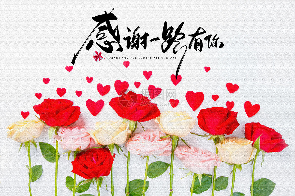 感恩节
