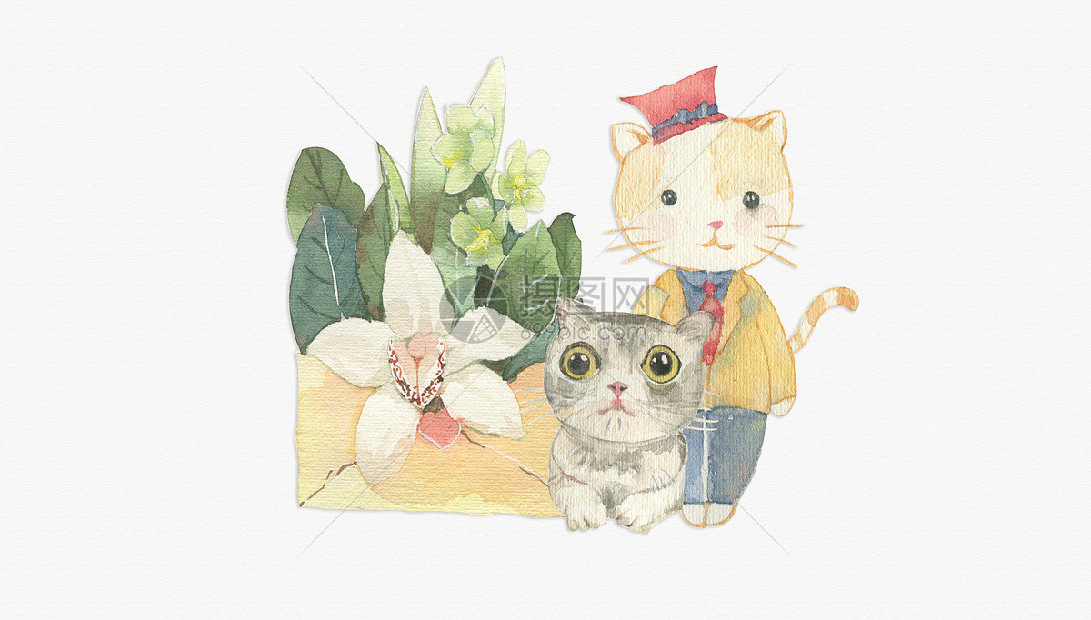 手绘水彩英国短毛猫咪