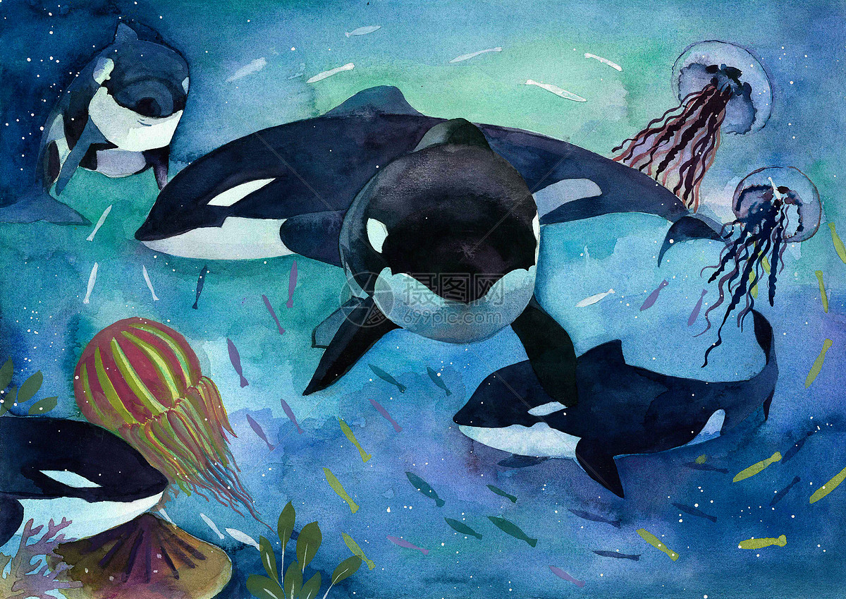 鲸鱼|插画|艺术插画|Truthkkkk - 原创作品 - 站酷 (ZCOOL)