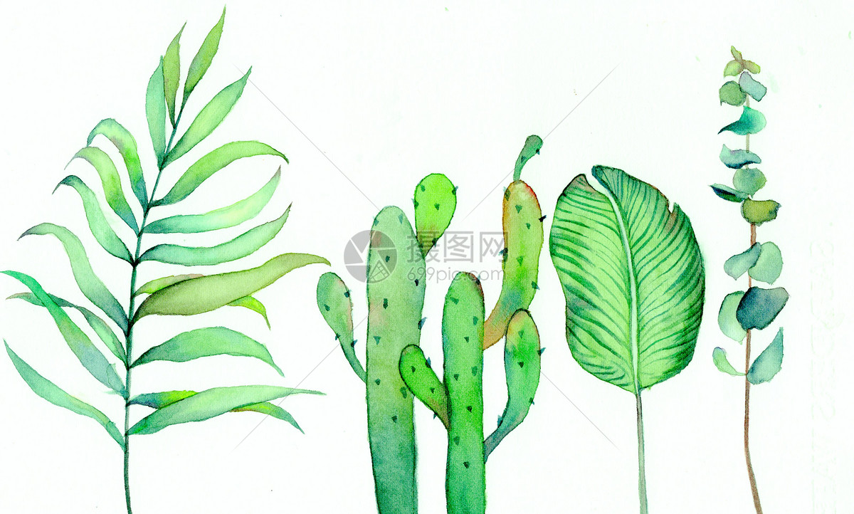 水彩北欧绿植手绘图片素材_免费下载_psd图片格式_vrf