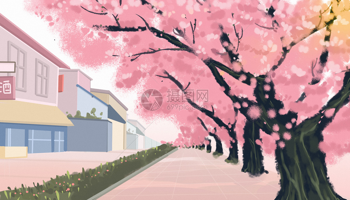 樱花街道