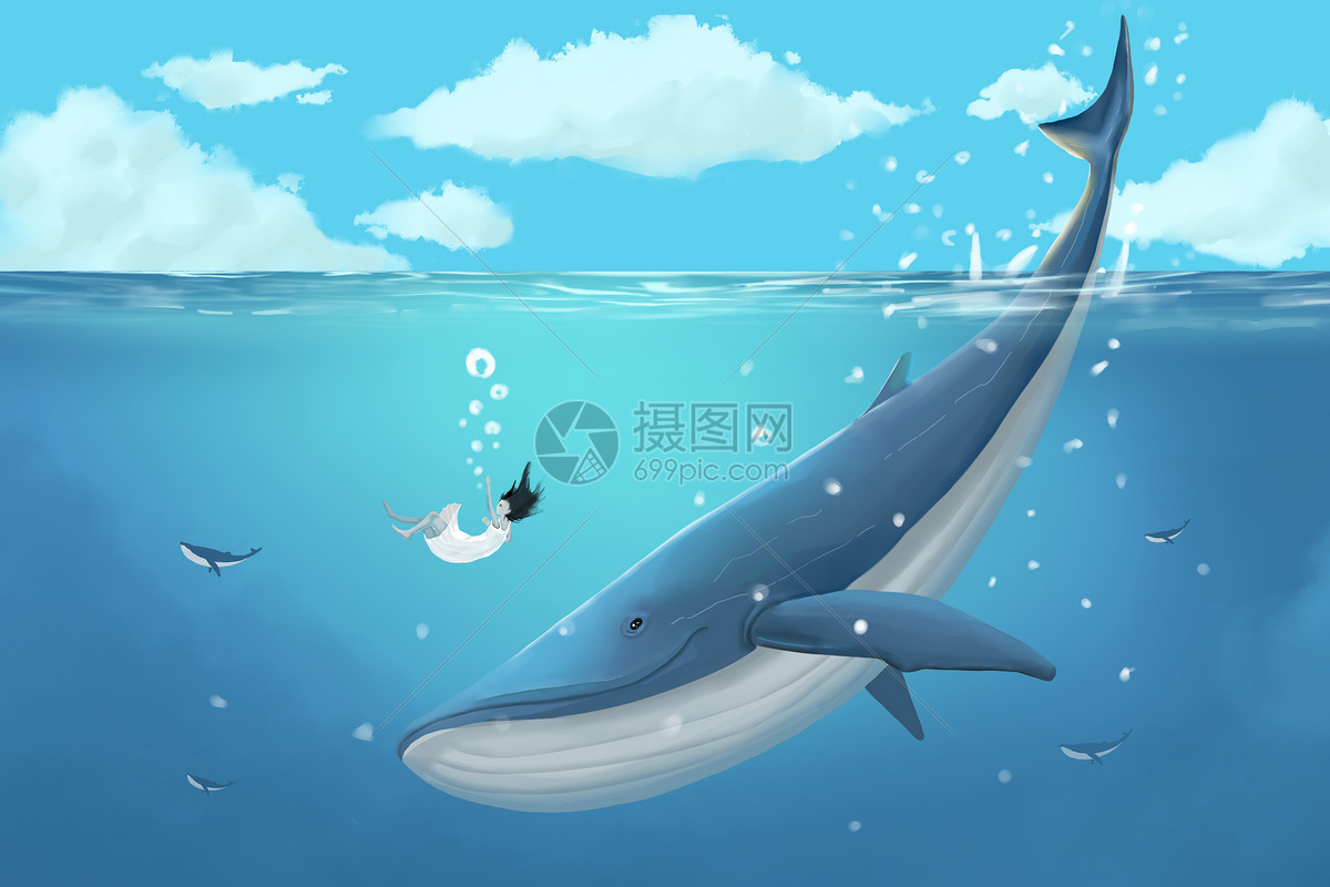 鲸鱼|插画|插画习作|张非常怕冷 - 原创作品 - 站酷 (ZCOOL)