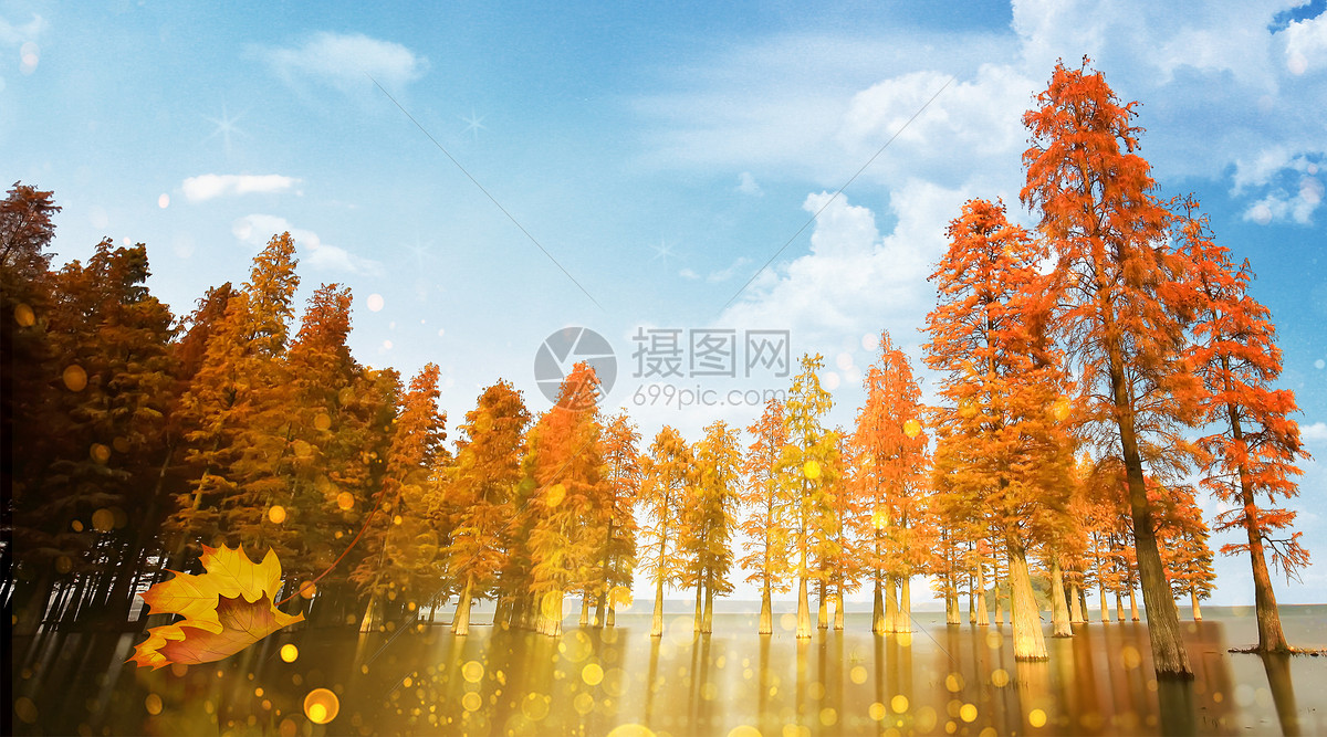 在线编辑