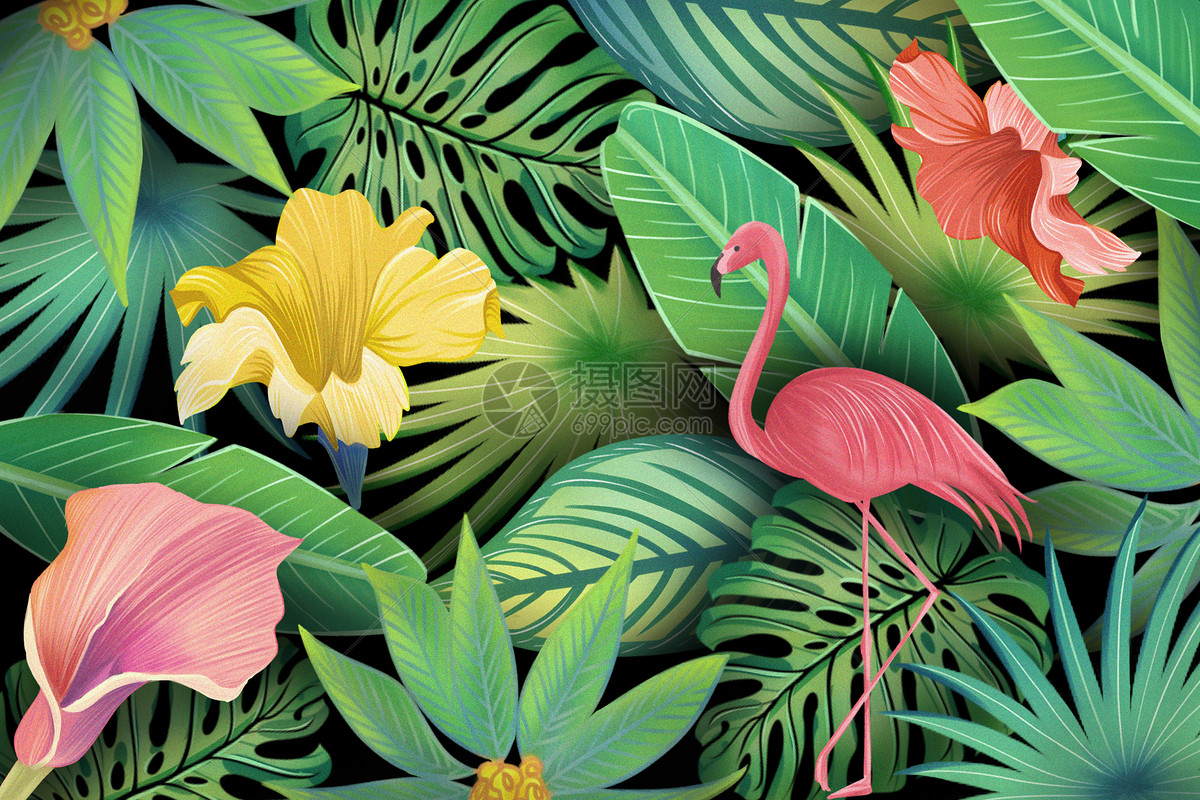 热带植物花卉插画图片下载-正版图片400120642-摄图网