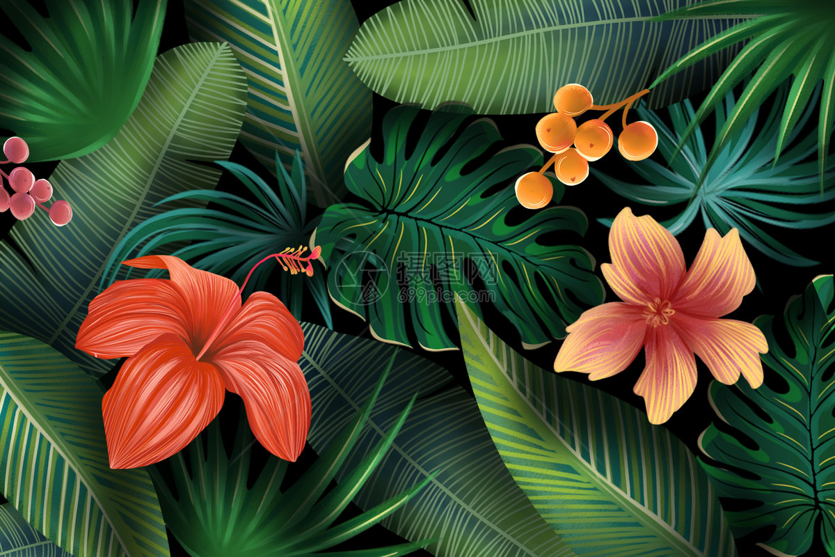 热带植物花卉