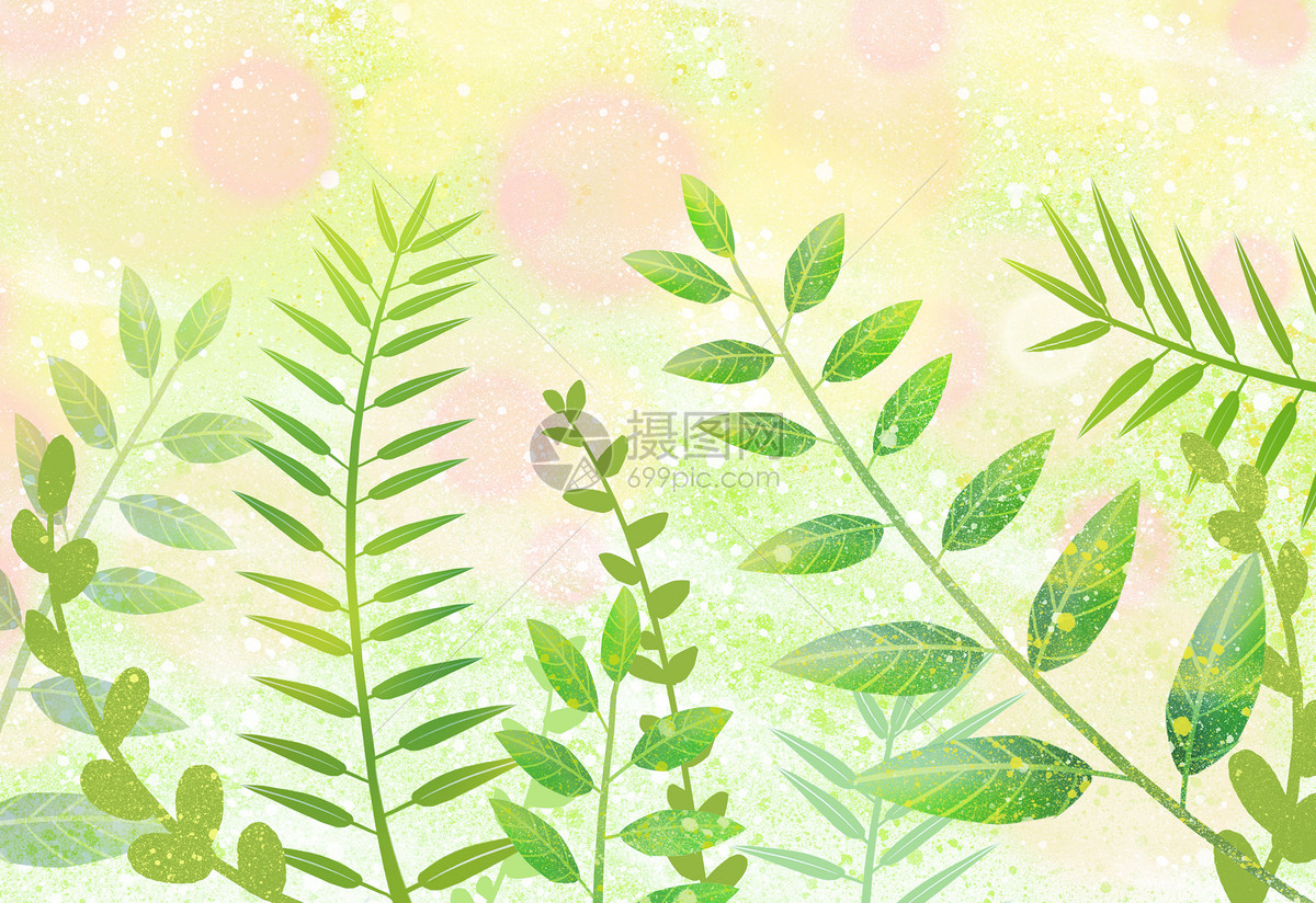小清新植物插画