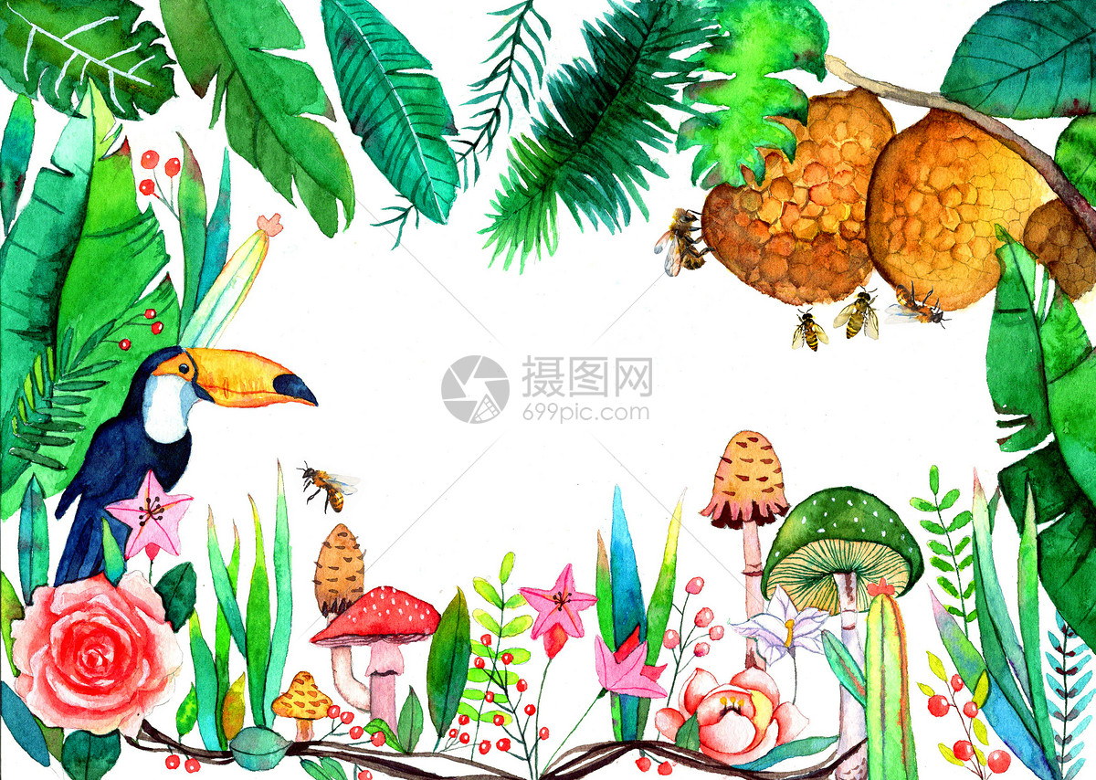 水彩手绘热带雨林
