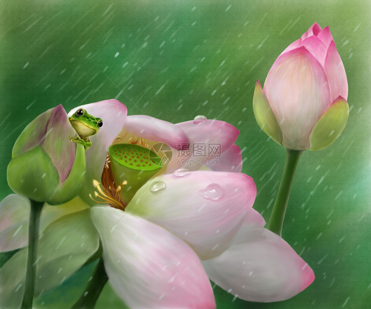 最美不过下雨天，一切刚刚好！淋着雨珠的花在风里雨里反而更多了一种坚韧柔和的美 -- 眼界，放眼世界