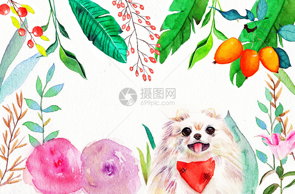 水彩植物动物手绘