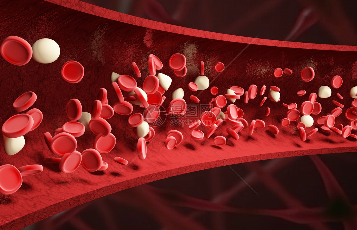 血红细胞场景图片素材_免费下载_max图片格式_VRF高清图片400128573_摄图网