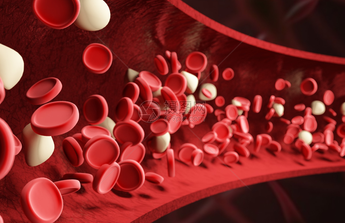 图53 正常血象-血液学细胞学-医学