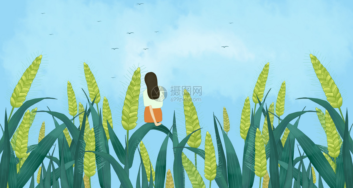二十四节气小满主题        id:400154875              成为插画