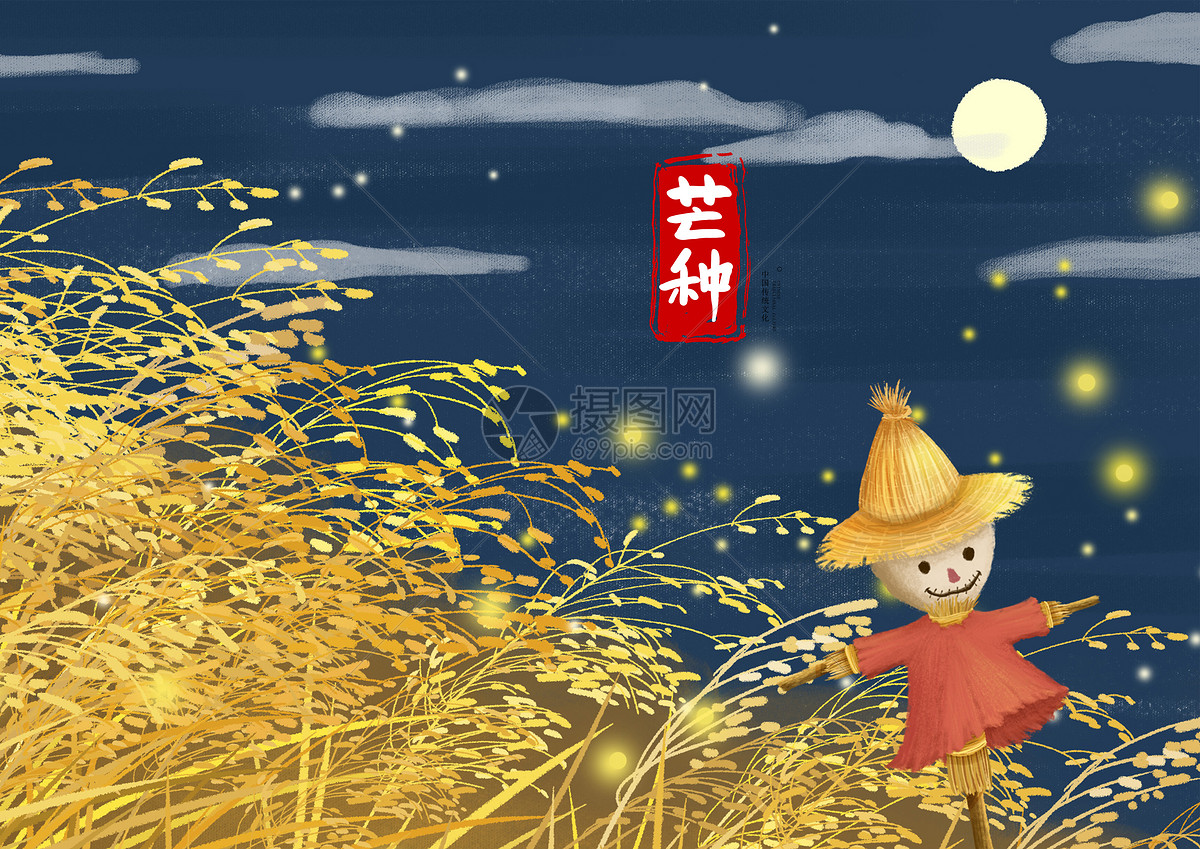 芒种