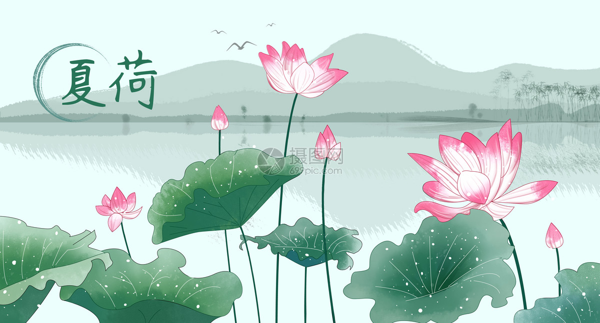 夏荷