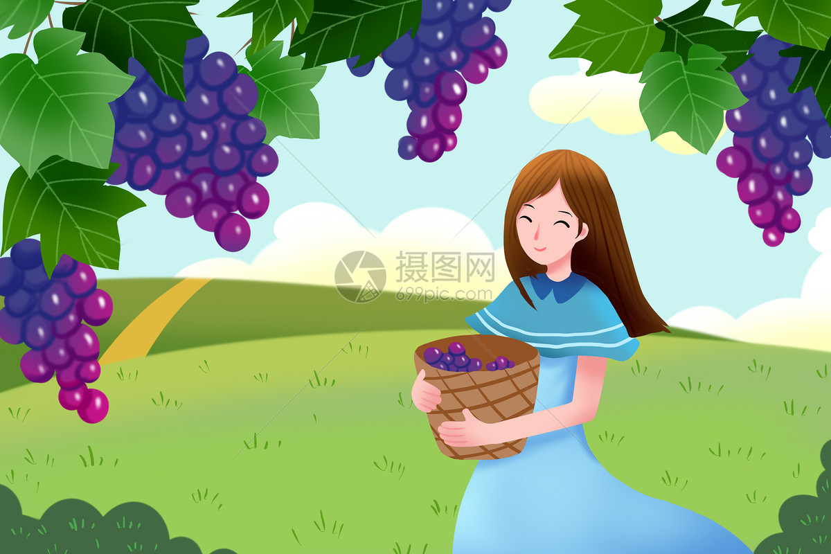 夏季摘葡萄
