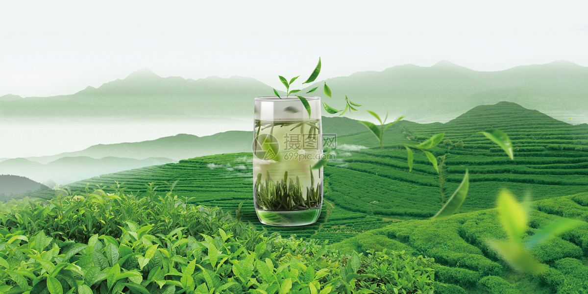 创意绿茶场景