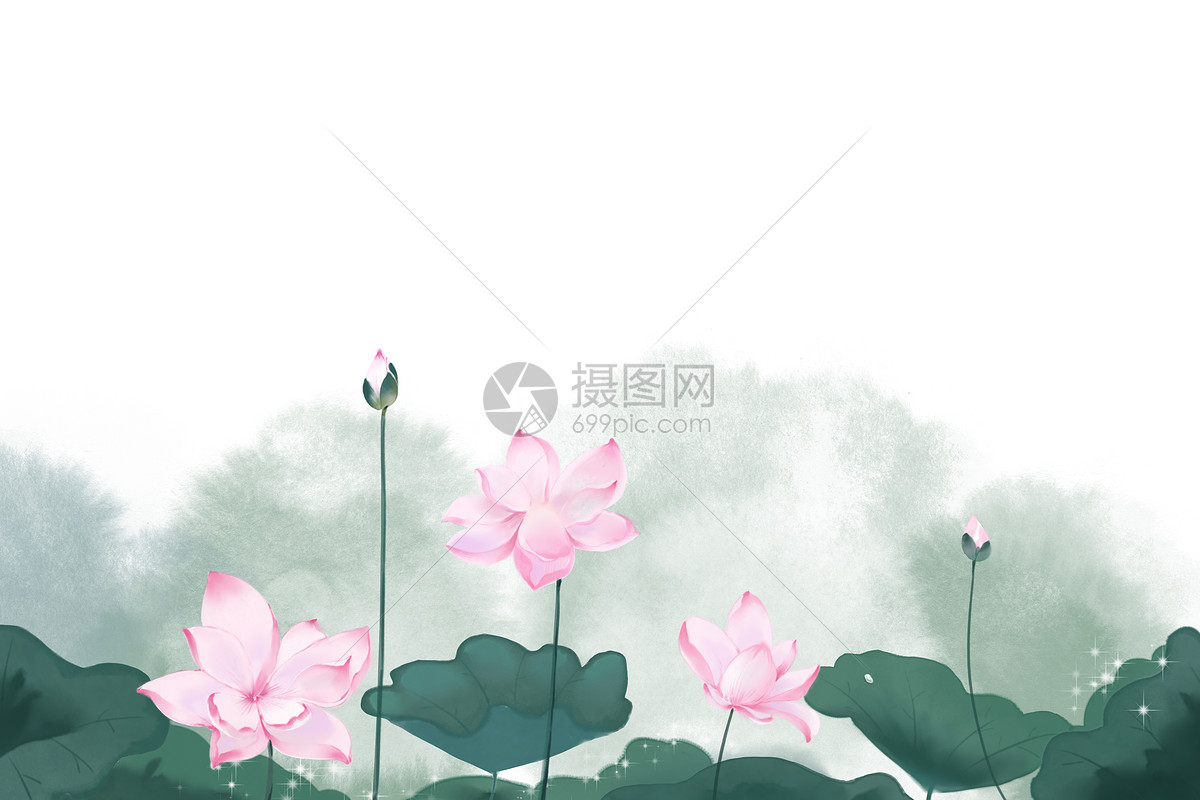 荷花