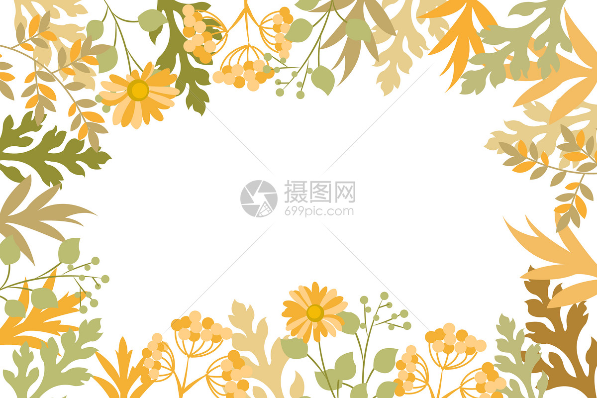 秋天植物花卉背景