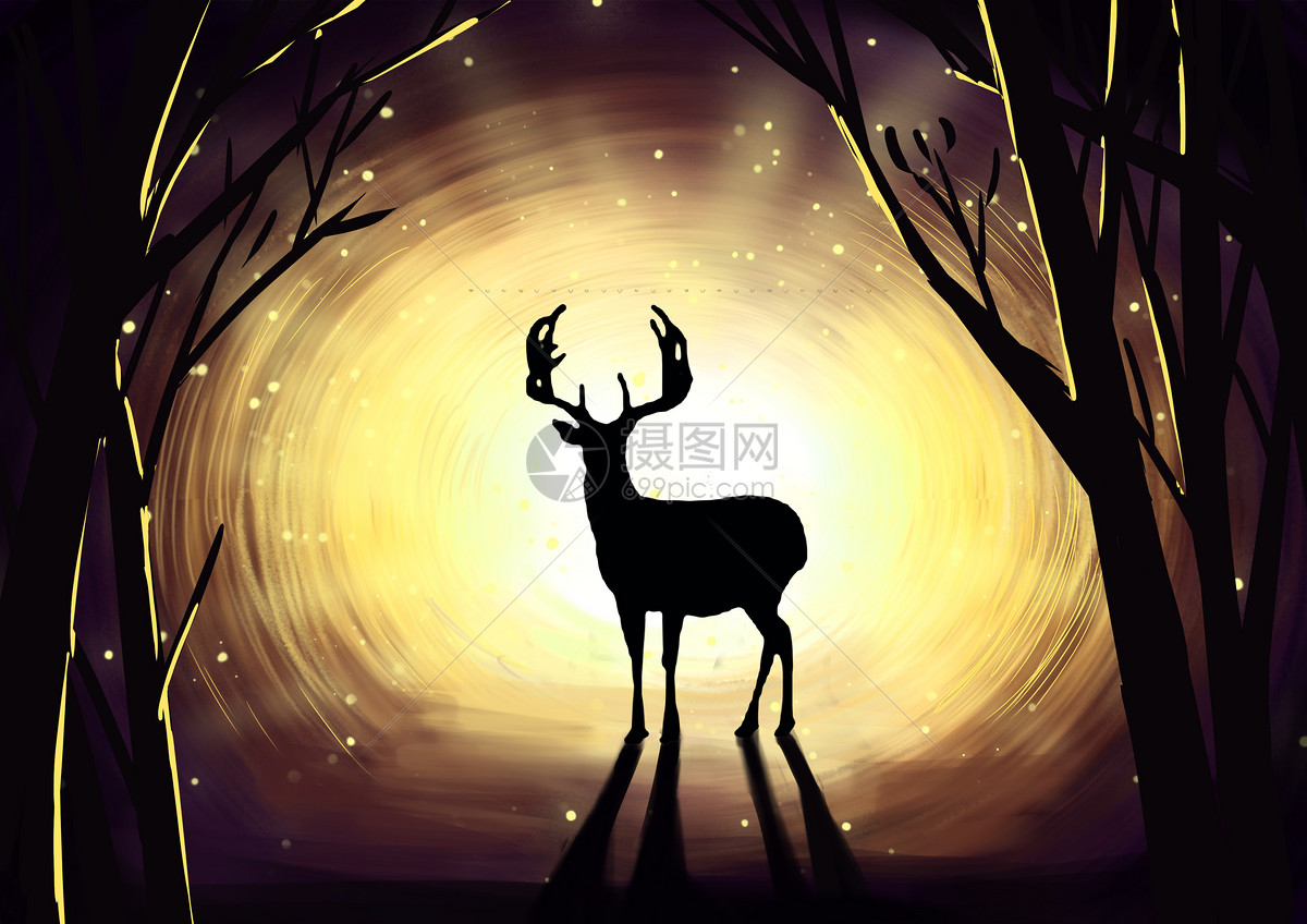 夜晚森林鹿