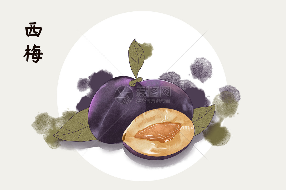 花瓣 举报 标签: 手绘插画插画水果插画生活方式蔬果插画西梅西梅