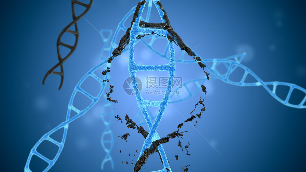 dna基因变异