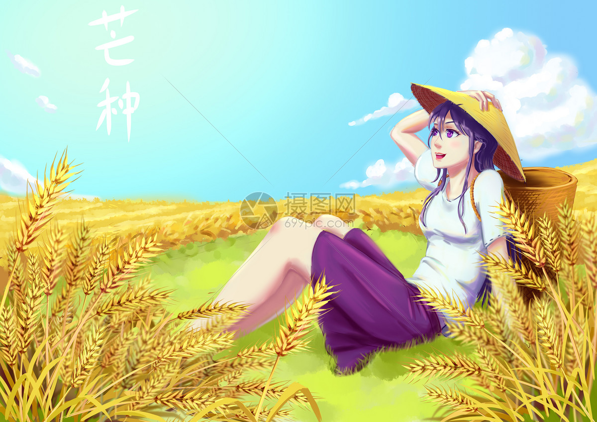 插画 节日节气 芒种.
