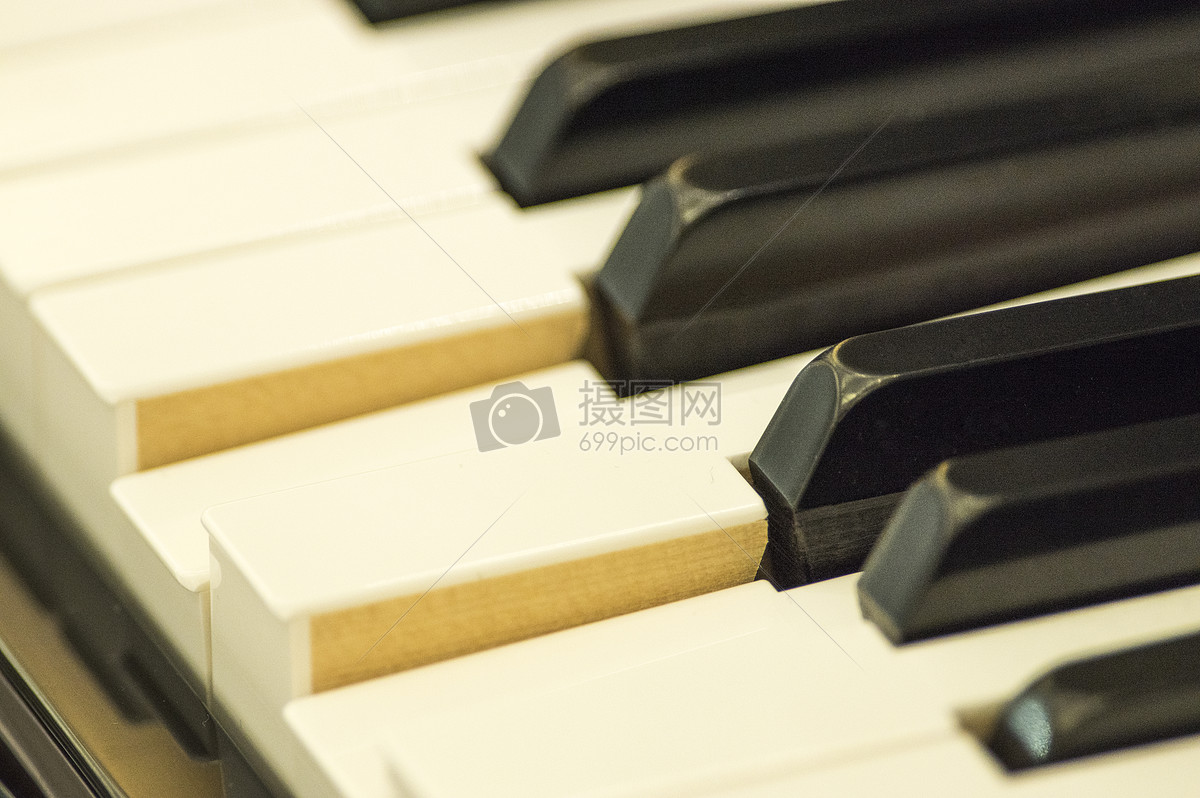 学习钢琴琴键图片