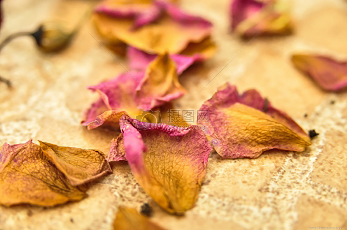 枯萎的花瓣