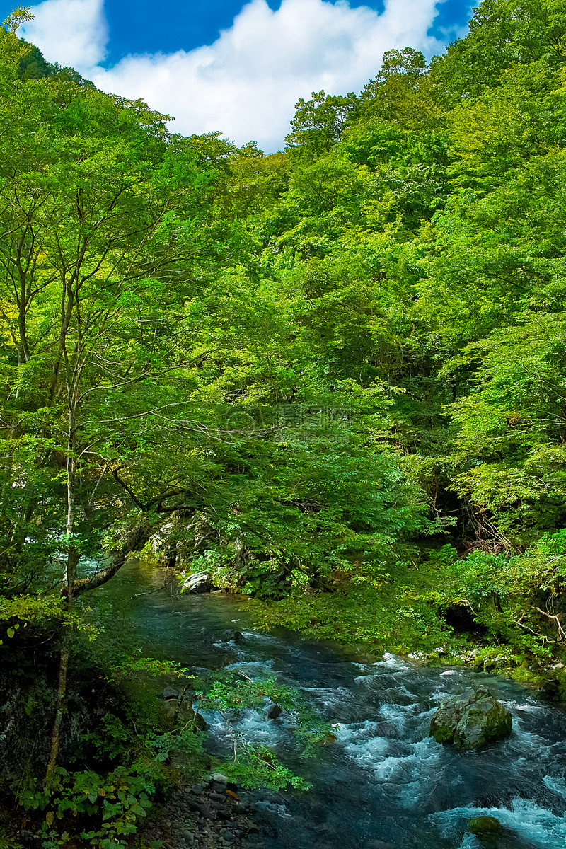 山涧里的小河