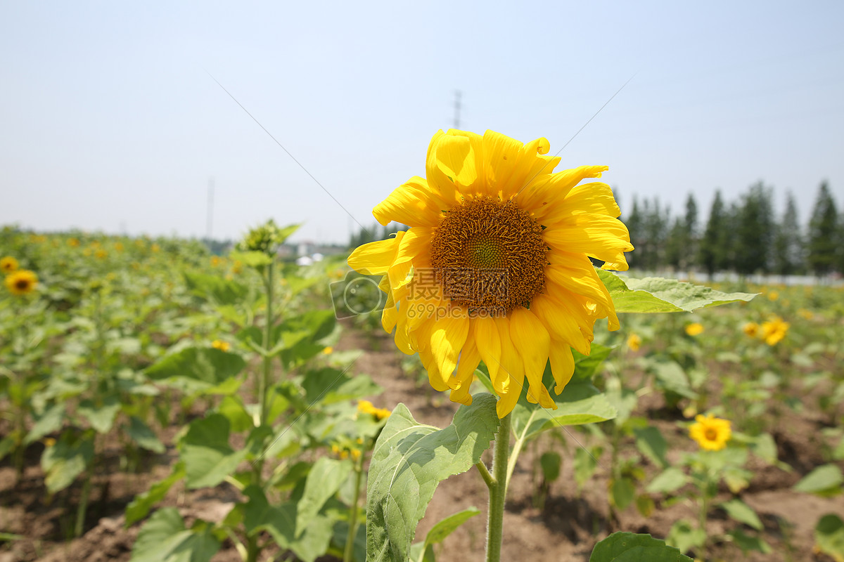 jpg  分享: qq好友 微信朋友圈 qq空间 新浪微博  花瓣 举报 标签