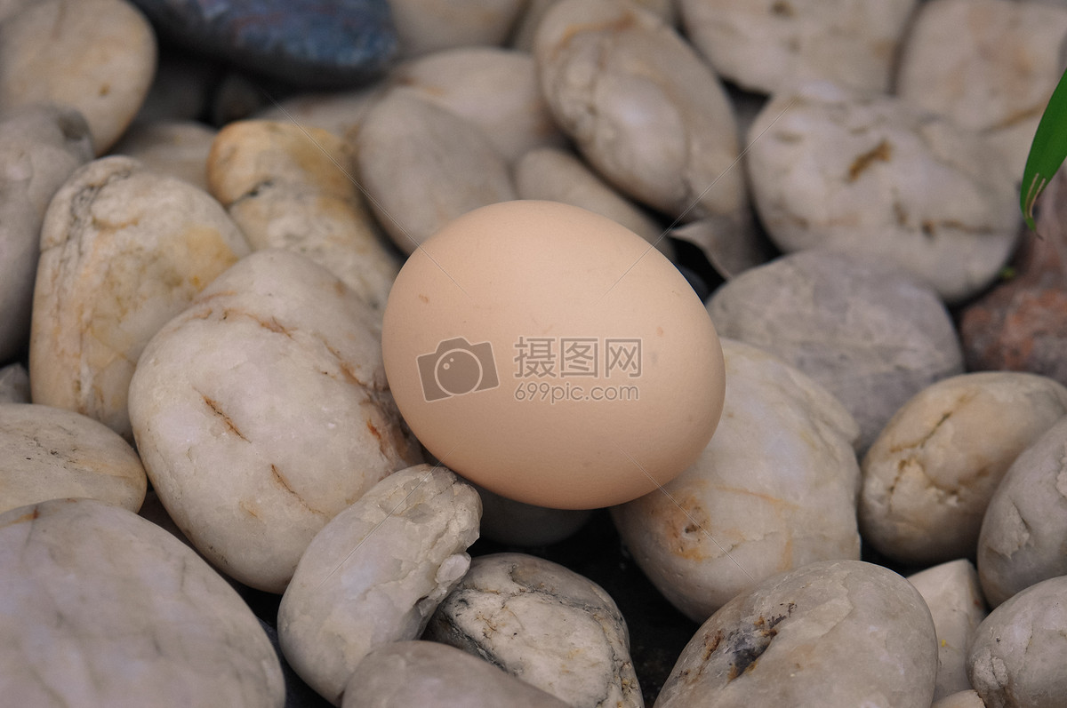 石头上的鸡蛋