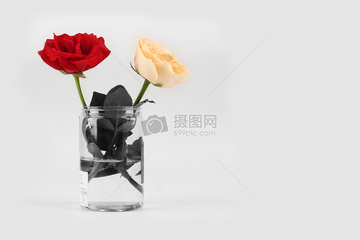 花瓶中的玫瑰高清图片下载-正版图片500543074-摄图网
