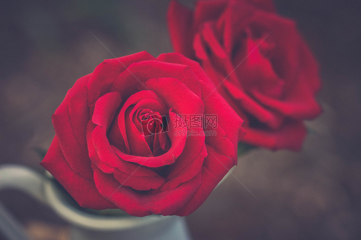 分享: qq好友 微信朋友圈 qq空间 新浪微博  花瓣 举报 标签: 2朵玫瑰