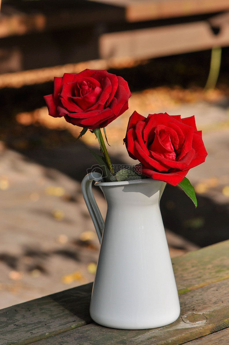 花瓶中的玫瑰花