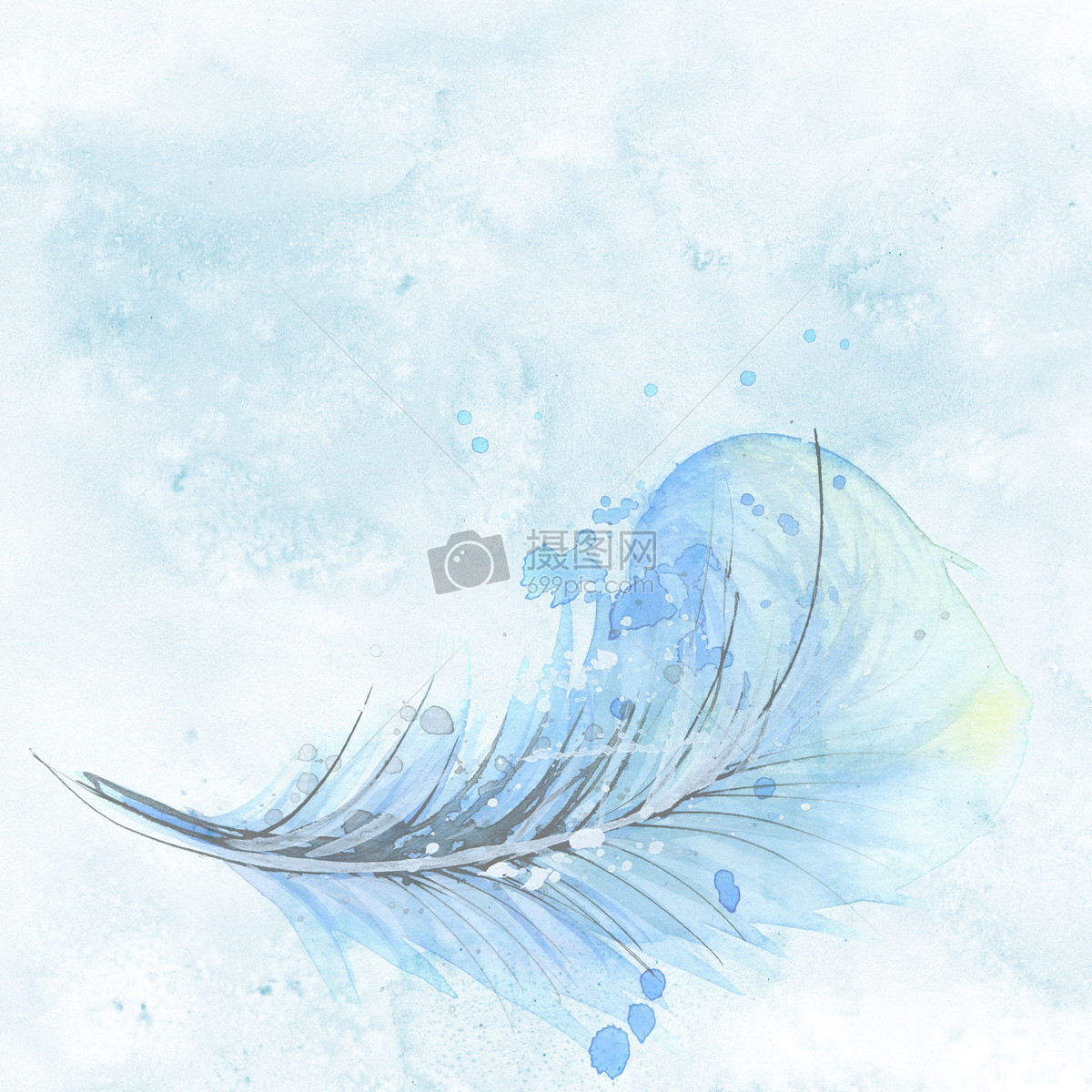 蓝色透明的羽毛