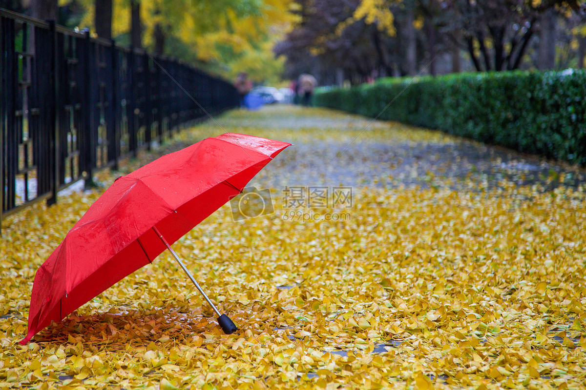 秋雨.红伞图片素材_免费下载_jpg图片格式_vrf高清_摄